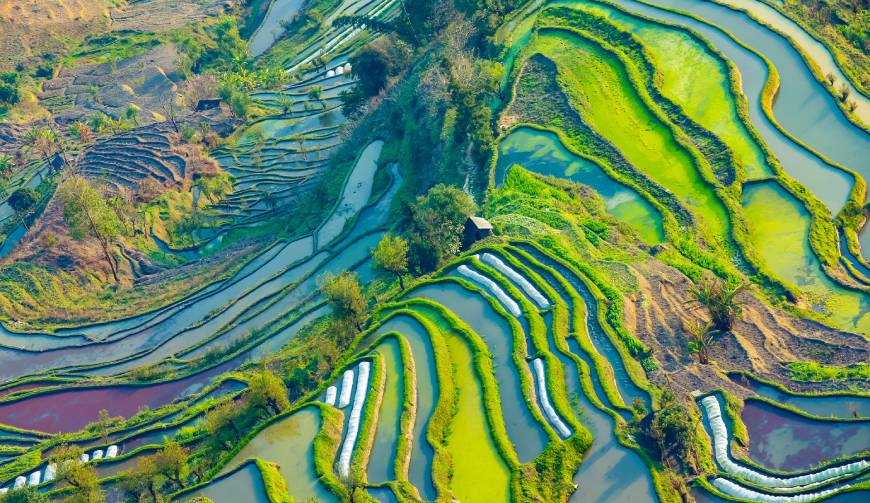 宝妈必备神器：德州产品视频拍摄轻松育儿好帮手